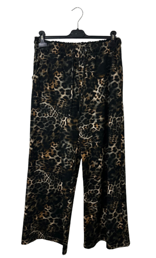 Leo Hose*SUPERSALE*